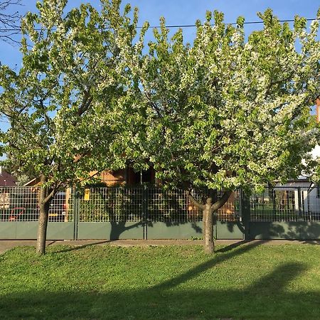 Hotel Eszter Vendeghaz Berekfürdő Zewnętrze zdjęcie